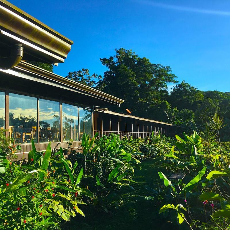 Hotel Arenal Vista Lodge El Castillo Ngoại thất bức ảnh